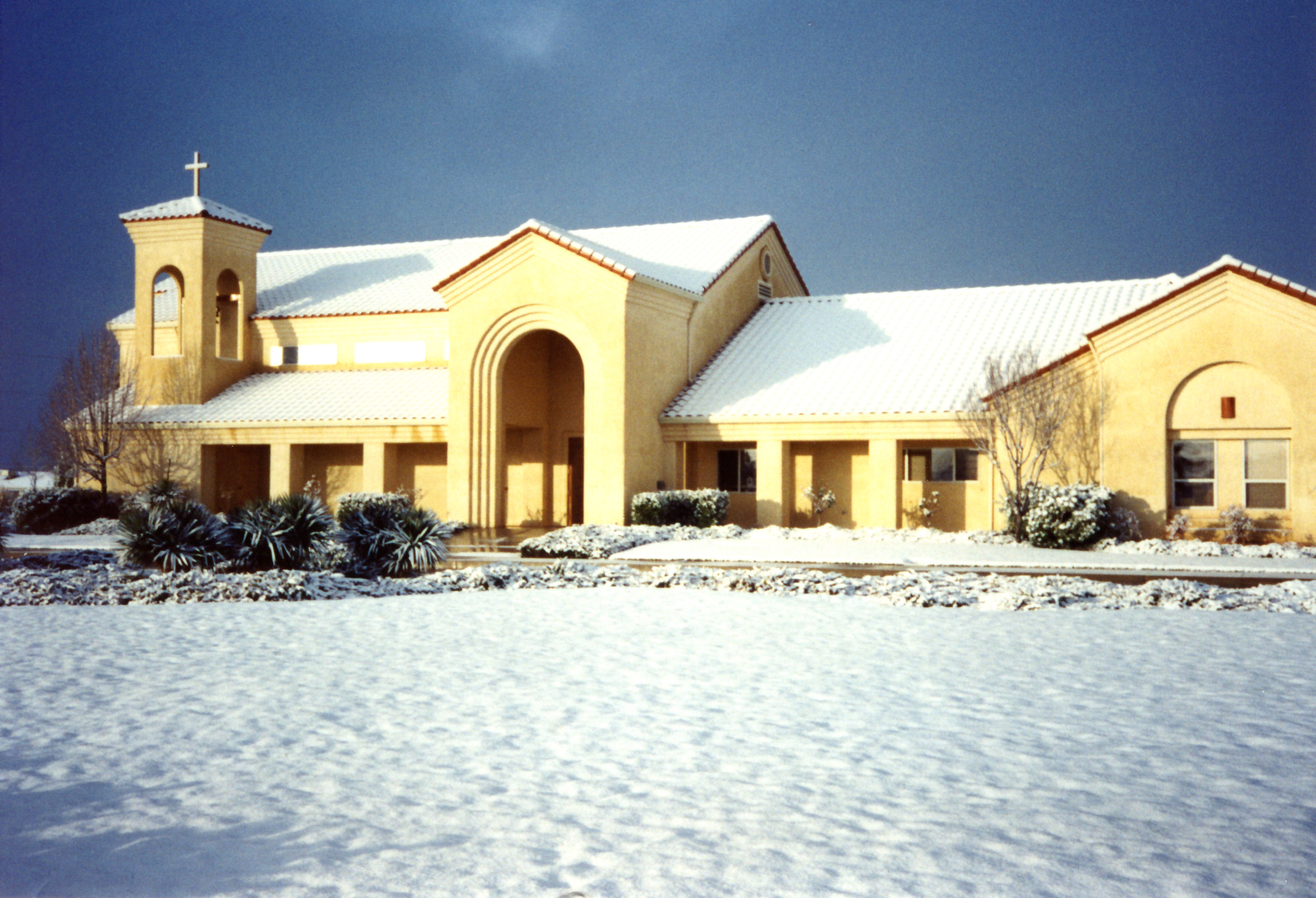 GSPC_in_the_snow